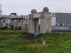 工場の裏に回って多摩川の土手に出ます。
川崎河港水門。
上に乗った丸いのは「フルーツバスケット」。
昔から川崎は果樹栽培が盛ん。長十郎梨も川崎で生まれました。