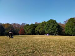 神代植物公園のこちらは無料のゾーンです。ピクニックするぞー。