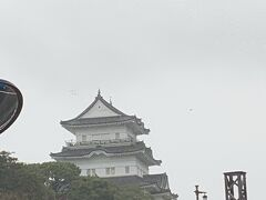 今回も小田原城には行かずΣ(￣。￣ﾉ)ﾉ車窓からパチリ☆