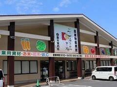 JAの農産物直売所「いで湯っこ市場」。規模が大きくて、種類も多いし柑橘類がごろごろ並んでいるのも伊豆ならでは。野菜にお豆腐、ジャム、お惣菜の煮豆を狙って、翌日の法事が終わってからまた来ることにしました。