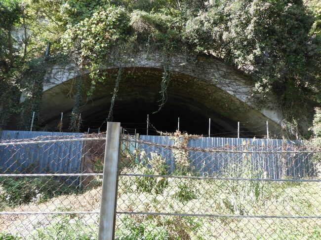 野島の掩体壕（えんたいごう）です。<br /><br />旧横須賀海軍降雨空基地の戦闘機を守る施設として、太平洋戦争末期に建設されたとのことです。