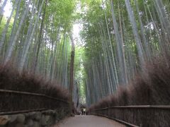 天龍寺近くにある竹林にも立ち寄りました。
この後、野宮神社を参拝し、京都中心部に戻りました。