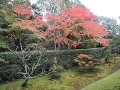 桂春院