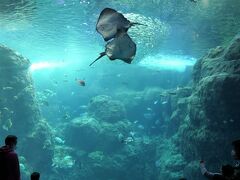 新江ノ島水族館