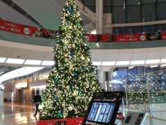 前泊は　第1ターミナル羽田ファーストキャビンにしました。
営業再開されてよかったです。ここは、空港内ですしお手頃でアメニティもそろっていて静かなのがうれしいです。
2021年も終わりですね、、、クリスマスツリー