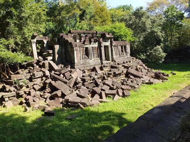 現在も修復施されないまま、森の中にひっそり眠っている遺跡