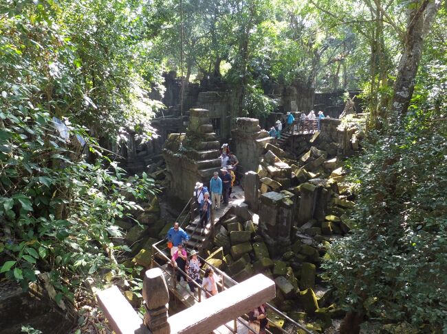 遺跡全体を森が覆い、日光を遮っているため、寺院や石は苔むして、どこもかしこも緑色<br />建物にねっとり絡みつく木々やその合間に差し込む木漏れ日<br />しっとりとした風情とモイスト感を醸し出している。<br />遺跡上に組まれた木の遊歩道を進む。