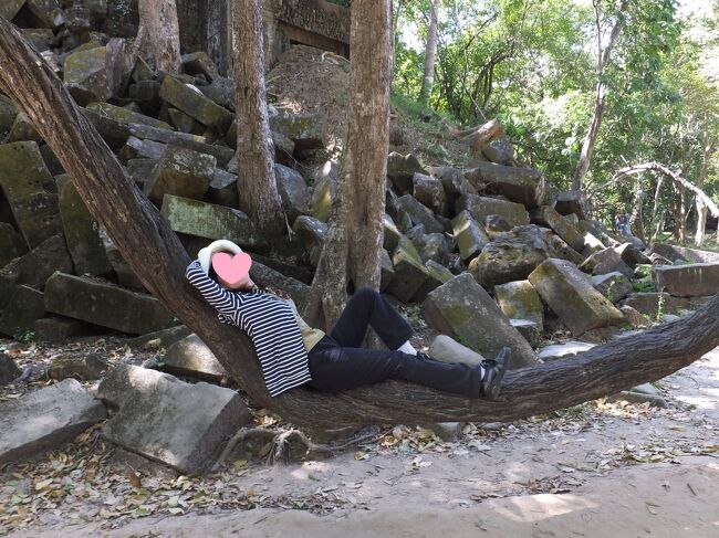 ゆりかご状に曲がった木もあり、休憩するにはぴったり。