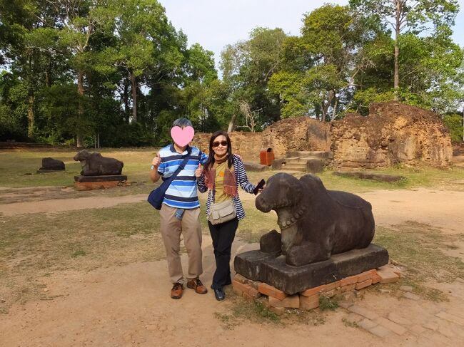 ネット予約時点で予め希望ルートを指定しておいた。<br />ドライバーさんに英語で確認（遺跡の順番は前後するがおおむねOK）<br /><br />私の首に巻いているのはホテルでいただいたクロマーです。<br />まずはアンコールチケット売り場へ<br />遺跡チケット3日券62ドル購入。<br />12月20日から10日間のうち3日間有効。顔写真入りですぐに発行。<br /><br />ロリュオスの遺跡群を回ります。<br />初代国王によって802年に開かれた最初の都城は約15km南東のロリュオス川流域に位置していた。その一帯に残る寺院群は「ロリュオス遺跡群」と称され、クメール王朝最初期の遺跡として重要であることから距離は離れているものの「アンコール」の一部として世界遺産に含まれている。<br /><br />まずは、プリアコー（聖なる牛）<br />インドラバルマン1世をまつる菩提寺。アンコール王朝最古の遺跡<br />シバ神の乗り物聖牛ナン至道の前で祠堂の前で待ち構えている。