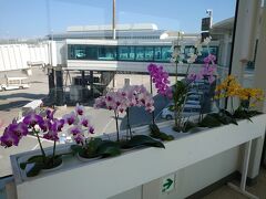 那覇空港に到着～。
蘭が飾ってあって、夏感醸し出してます。
初日はレンタカー要らないのでゆいレールに乗って那覇市内へGO!