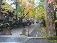 その後は永平寺に向かいます。また雨あしが強くなりました
紅葉が非常に美しいです