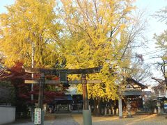 桐生の街並みの奥にある桐生天満宮。
黄色の大銀杏の存在感がありました。