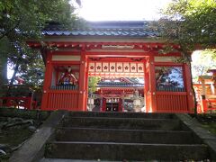 金澤神社

兼六園のすぐそばにある金澤神社に徒歩でやって来ました。
木々の緑に真っ赤な門が映えます。