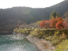 昼食後はバスに乗るのですが、近くの奥多摩湖バス停ではなく湖岸沿いを歩いて一つ手前の「大麦代」から乗車することに。