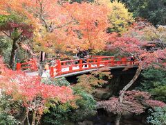 テクテク山道を歩き、紅葉の名所「紅葉谷公園」。
ちょっと早い感じだけど、十分きれいですね。