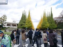 流石に朝から賑わってるな
凄い銀杏並木が続く