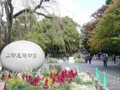 上野公園へ
桜と紅葉で忙しい公園