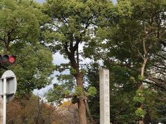 次は車で移動して、濃尾護国神社へお参り
大垣公園と隣接するように鎮座しています。
駐車場は、丸の内駐車場を利用しました。