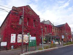 お昼の特急まで時間があったので、函館市内を散策します。
紅葉で赤く染まった明治館がきれいでした。