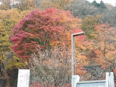 宿の入口にも紅葉と冬桜