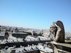 パリに戻って、自由行動。
ノートルダム大聖堂に登った。