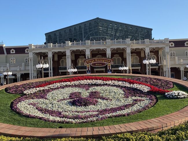 ☆ディズニーランドのクリスマス☆』東京ディズニーリゾート(千葉県)の