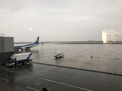 神戸空港到着。向こうに船