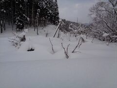 役内川の方に行ってみました．