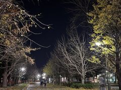 夜の中島公園

