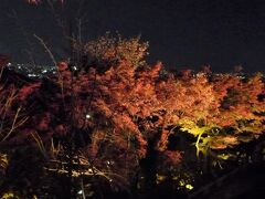 お腹いっぱいになって、夜の清水寺に行きます