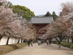 桜馬場