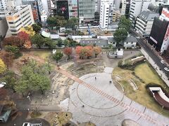 部屋からは警固公園が良く見えました