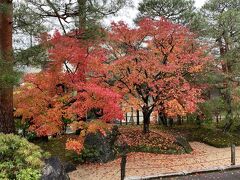 足立美術館に到着です。
何もないところにいきなり美術館があるのが凄い。
駐車場も広いです。

入口手前がかなり紅葉していて期待しちゃいます。