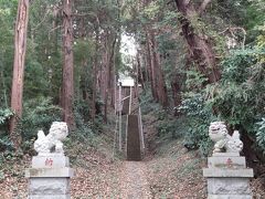 勝坂式土器発見の記念地点の隣の神社も紹介しよう。段丘に設けられた長い階段参道を登った先に社殿があるが、落葉の時期なんとも趣き深い雰囲気だ。
入口にある鳥居、狛犬が目立っていて、とても印象に残る風景である。
勝坂遺跡周辺は華やかな施設があり賑わっているわけではないが、散歩するにはもってこいな穴場スポットであることを知れて良かった。