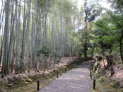 山門から本堂に向かう参道の両側には竹林があり、境内が静かなため、竹と竹がぶつかり合う音が聞こえとても神秘的でした。嵯峨野の竹林ほどの広さではありませんが、訪れる人も少なく心休まる寺と竹林です。

6日目は延暦寺横川に向かいました。
