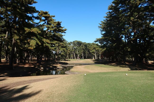 大洗ゴルフ倶楽部 タンブラー 安いスポーツ - 大洗ゴルフ倶楽部 タンブラー
