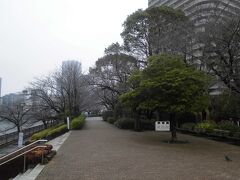 佃公園の奥の方にまで行ってみました。