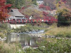 奥には、吊り橋の「香嵐橋」が。

赤が映えるね。