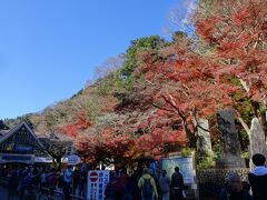 高尾山ケーブルカー・リフト駅　（１１：２０）

天気も快晴、紅葉期待できそう。