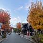 紅葉狩りの旅☆飛騨高山　飛騨の里　③