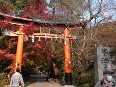 宇治神社の後は近くにある宇治上神社に行きました。宇治上神社は応神天皇、仁徳天皇を祀っており、本殿は日本最古の神社建築となっています。（京都府参照）ユネスコ世界遺産に登録されています。隣接している宇治神社とは対を（wikipedia参照）
