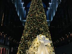 幕間休憩に撮ったアプローズタワー（ホテル阪急インターナショナルのある建物）のクリスマスツリー。

今年は天使がいました☆彡