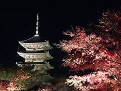 日没後、東寺の夜間特別拝観へ行きました。ライトアップした紅葉と東寺、金堂と講堂が開放されています。拝観料1,000円。