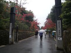 天気予報の通り一日雨でした
金閣寺に来ました