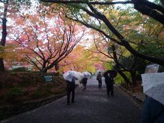 次は紅葉の参道を歩き竜安寺に向かいます