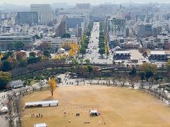 JR姫路駅までのびる、大手前通りが良く見えます。　イチョウの木が紅葉してるのも見えますね。