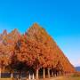 秋の琵琶湖