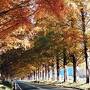 秋の琵琶湖