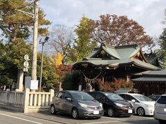 九月から週一、四時起きの五時出で埼玉の実家に日帰りで帰っています。
其れより遅く出ると首都高が混んじゃうのよね。

七時前に実家到着。
着いた頃には雨が降り出しそうな曇り空でしたが、実家を出る頃には晴れてポカポカになりましたよ。