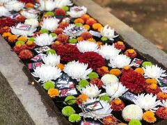 と、神社の裏山に違う道から戻ったら、裏山の中にも花手水があったよ。(ﾟﾛﾟ)